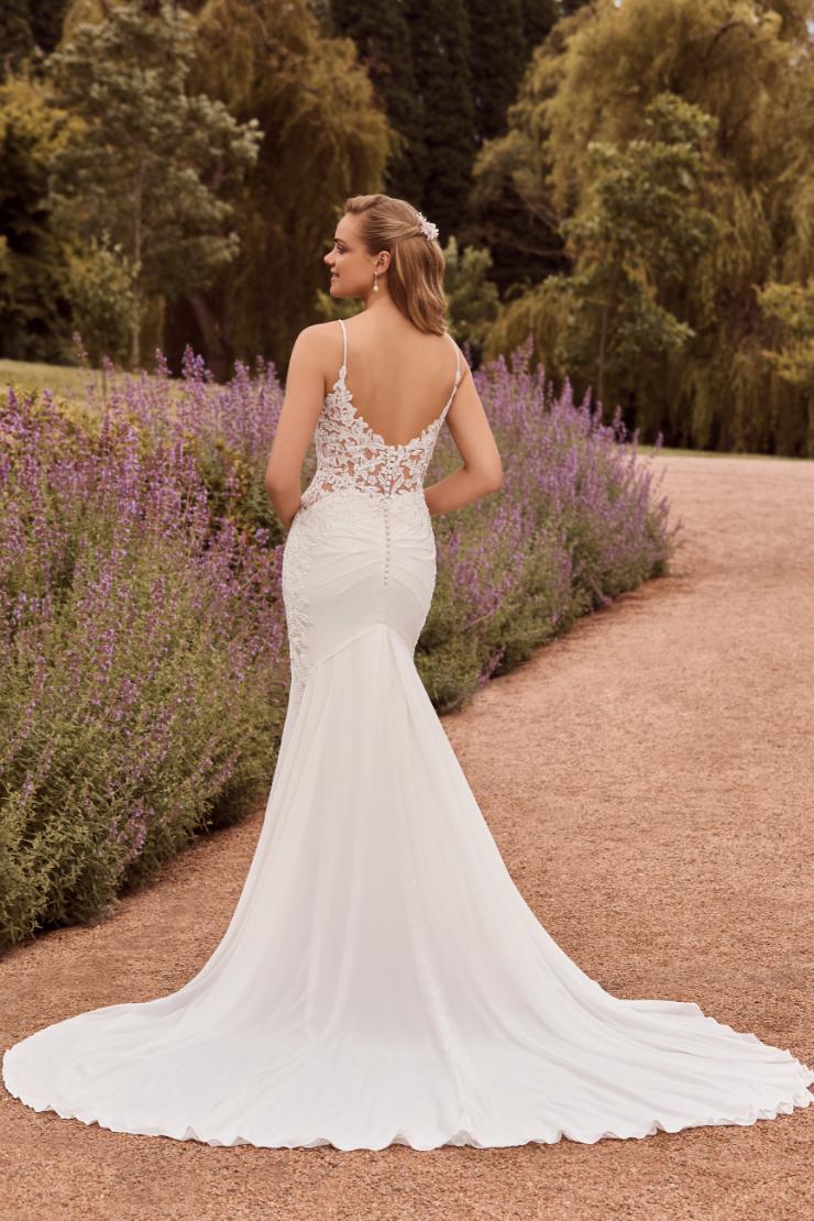 Sophia Tolli Y22186